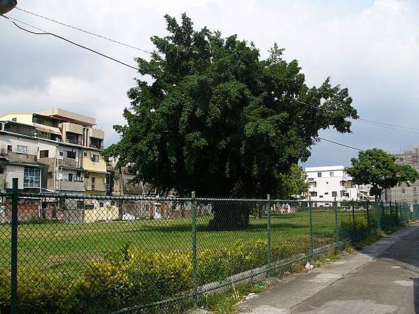 P1510522.JPG P1510522.JPG