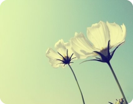 May May