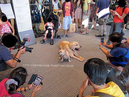 IMG_4580.JPG IMG_4580.JPG