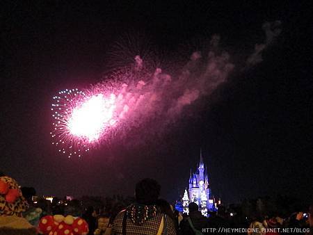 IMG_6077.JPG IMG_6077.JPG