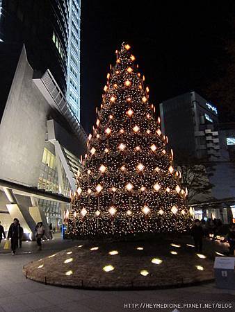 IMG_5686.JPG IMG_5686.JPG