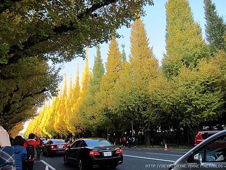 IMG_5572.JPG IMG_5572.JPG