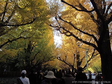 IMG_5579.JPG IMG_5579.JPG