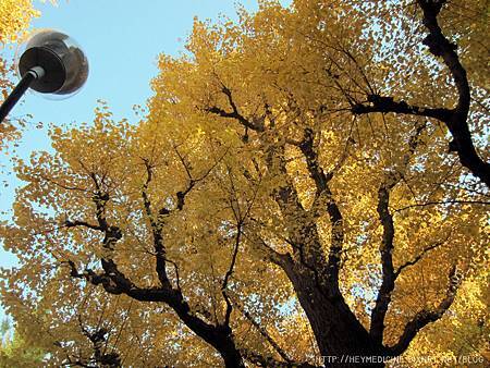 IMG_5581.JPG IMG_5581.JPG