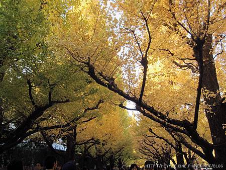 IMG_5583.JPG IMG_5583.JPG