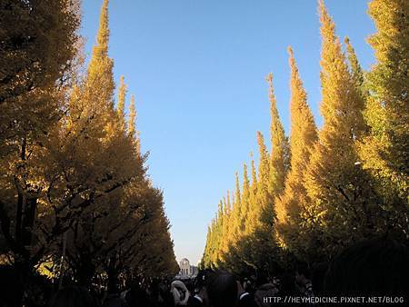 IMG_5586.JPG IMG_5586.JPG