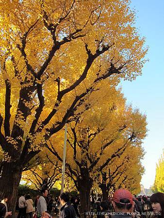 IMG_5591.JPG IMG_5591.JPG