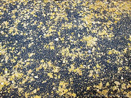 IMG_5597.JPG IMG_5597.JPG