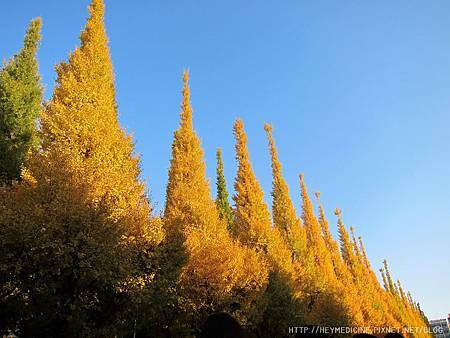 IMG_5605.JPG IMG_5605.JPG