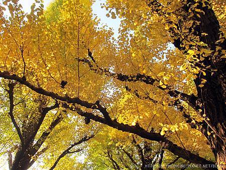 IMG_5620.JPG IMG_5620.JPG