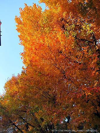 IMG_5634.JPG IMG_5634.JPG