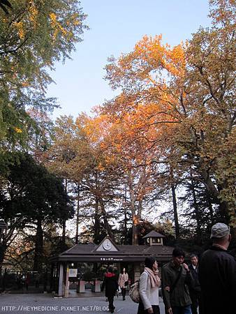 IMG_5641.JPG IMG_5641.JPG