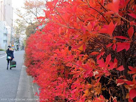 IMG_5648.JPG IMG_5648.JPG