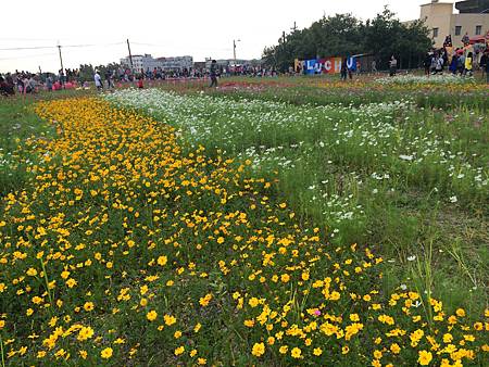 2014-11-08 16.19.44.jpg 2014-11-08 16.19.44.jpg