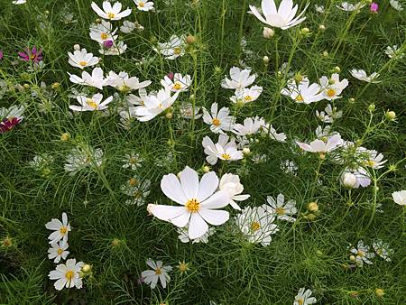 2014-11-08 16.23.32.jpg 2014-11-08 16.23.32.jpg