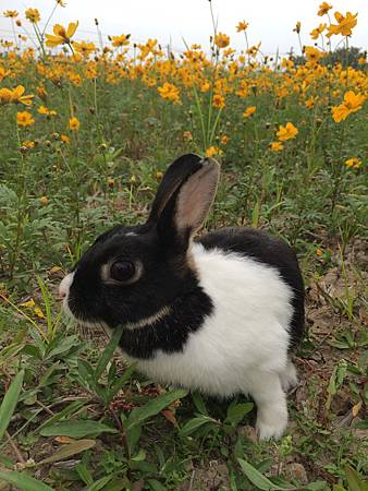 2014-11-08 16.25.54.jpg 2014-11-08 16.25.54.jpg