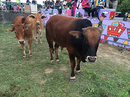 2014-11-08 16.28.51.jpg 2014-11-08 16.28.51.jpg