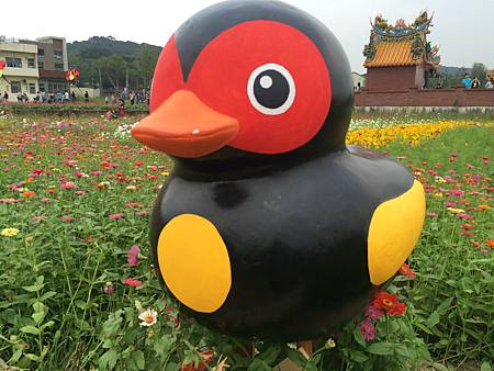 2014-11-08 16.31.58.jpg 2014-11-08 16.31.58.jpg