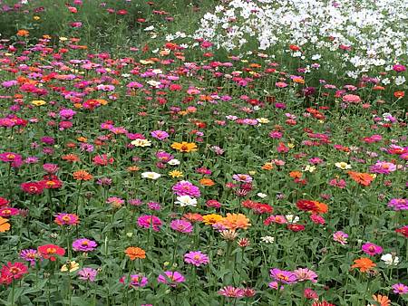 2014-11-08 16.33.15.jpg 2014-11-08 16.33.15.jpg