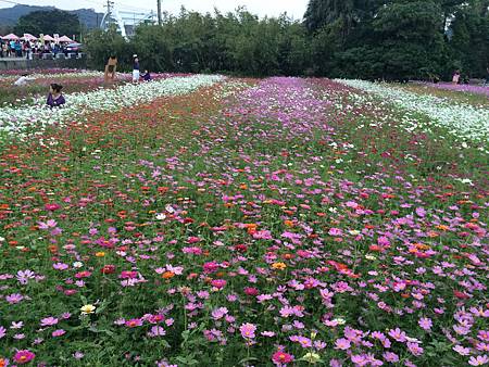 2014-11-08 16.47.12.jpg 2014-11-08 16.47.12.jpg