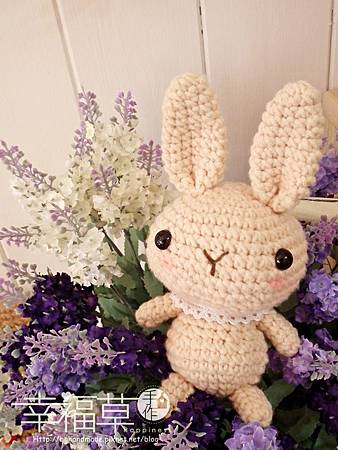 初階-兔寶貝 初階-兔寶貝