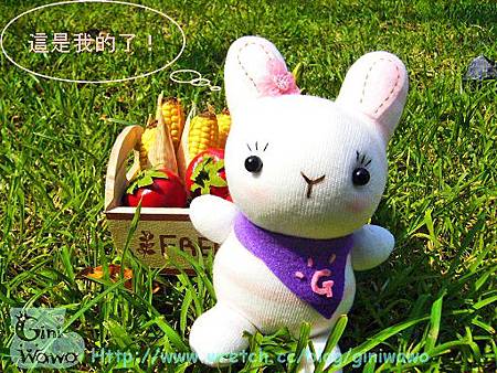 領巾小兔 領巾小兔