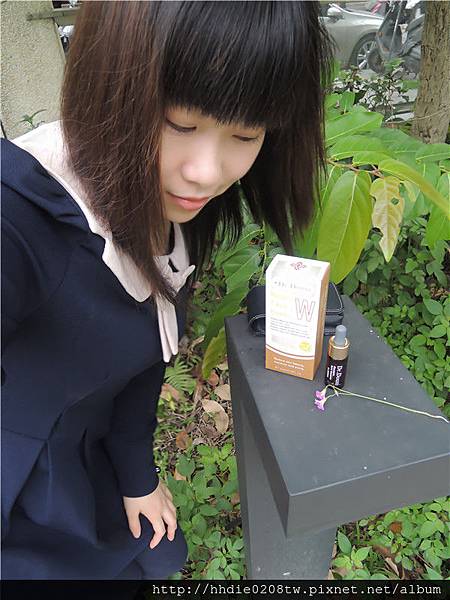 試用
