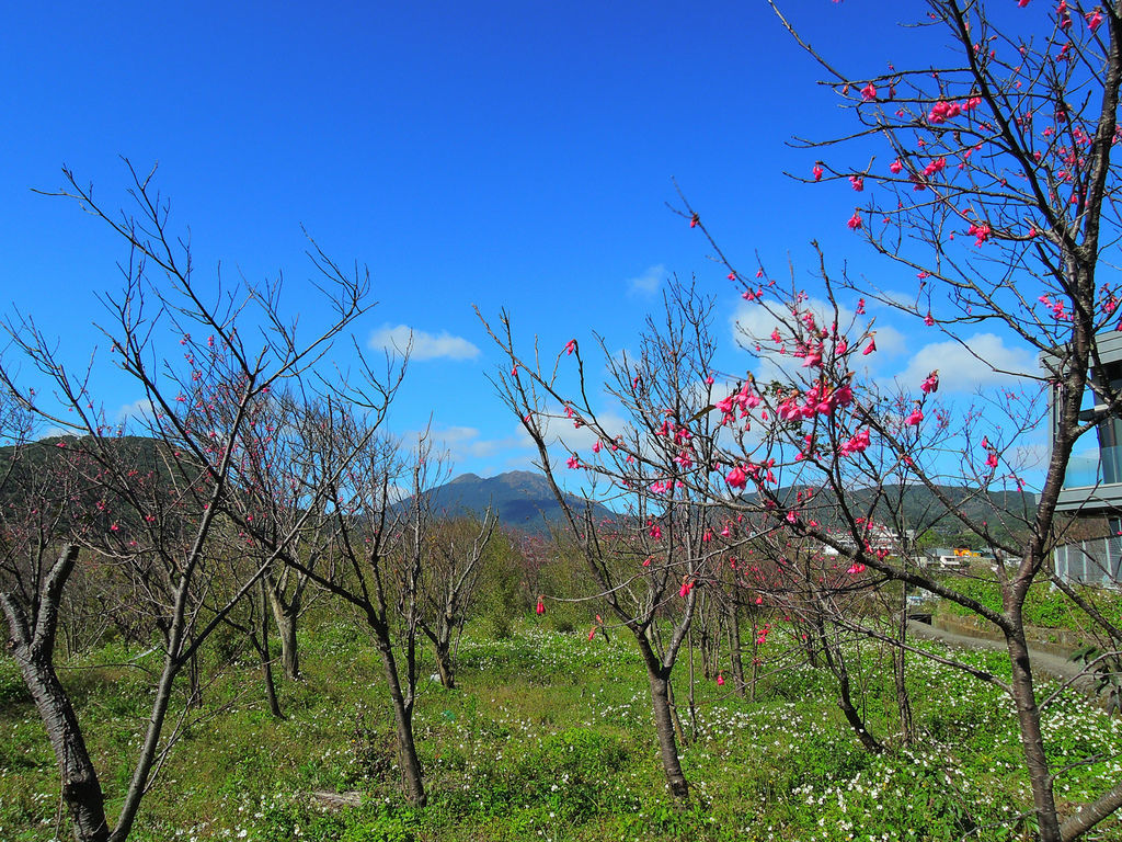 DSCN0015.JPG DSCN0015.JPG