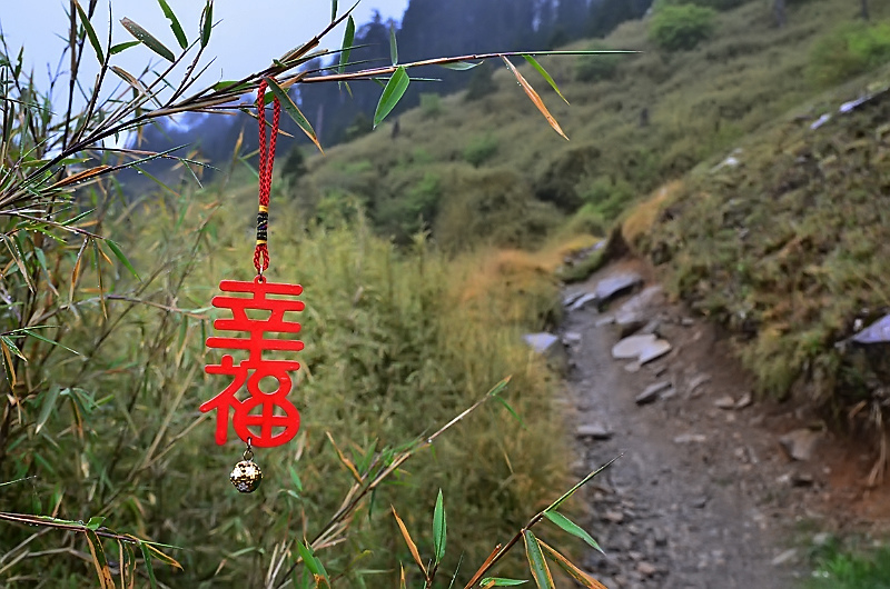 DSC_2615.JPG DSC_2615.JPG