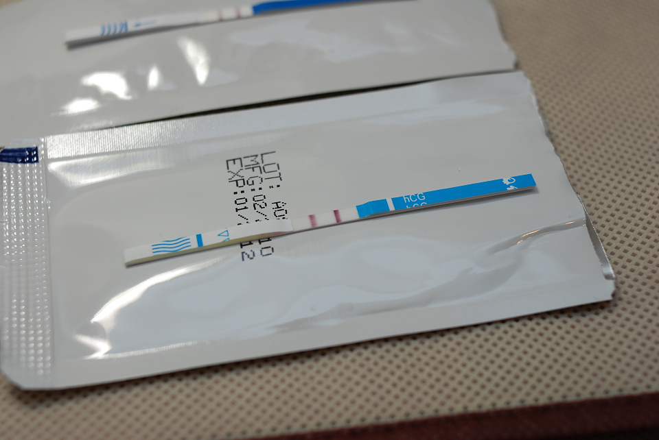 nEO_IMG_DSC_9824 nEO_IMG_DSC_9824