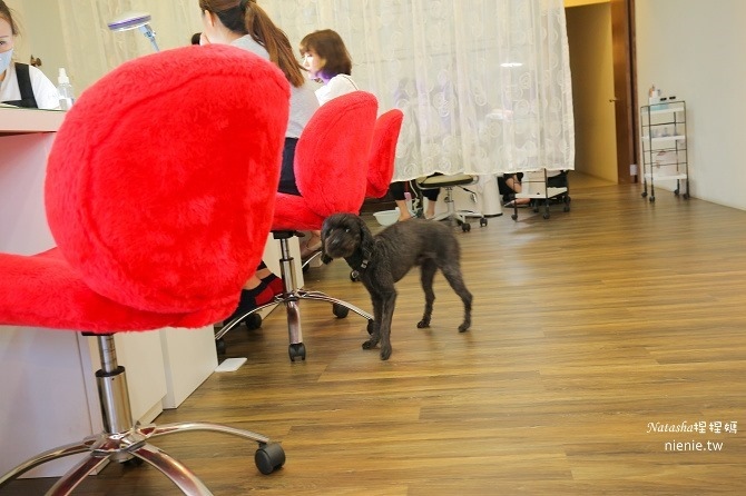 孕婦按摩SPA推薦新竹竹北沙菈美容芳療spa最超值划算且專業的孕婦按摩21 孕婦按摩SPA推薦新竹竹北沙菈美容芳療spa最超值划算且專業的孕婦按摩21