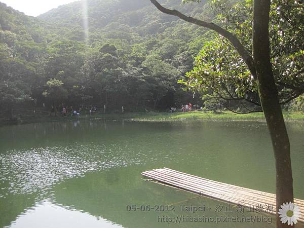 IMG_0505 IMG_0505