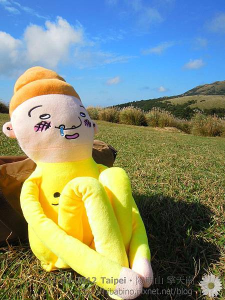 DSCN3571 DSCN3571