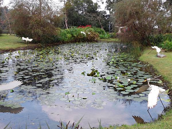 1021117 仁山植物園一日遊064.jpg
