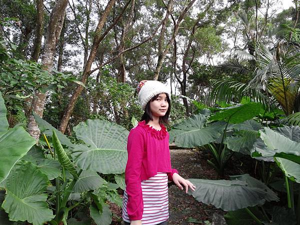 1021117 仁山植物園一日遊078.jpg