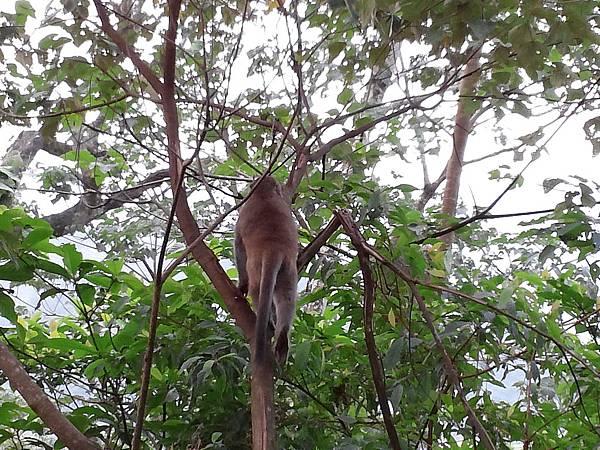 1021117 仁山植物園一日遊093.jpg