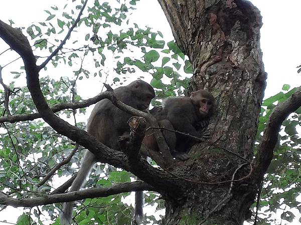 1021117 仁山植物園一日遊094.jpg