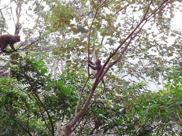 1021117 仁山植物園一日遊102.jpg