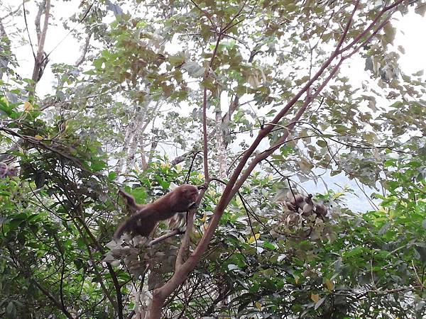 1021117 仁山植物園一日遊103.jpg