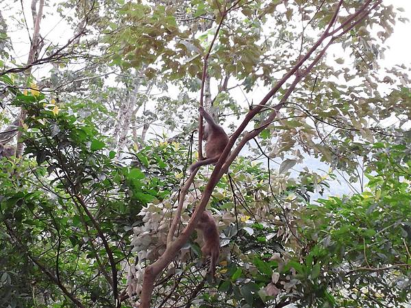 1021117 仁山植物園一日遊105.jpg