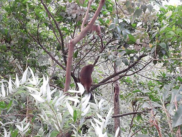 1021117 仁山植物園一日遊106.jpg