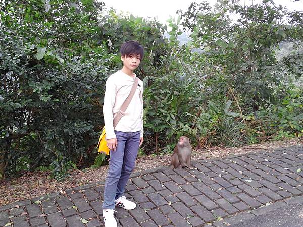 1021117 仁山植物園一日遊116.jpg