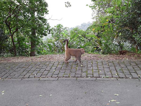 1021117 仁山植物園一日遊119.jpg