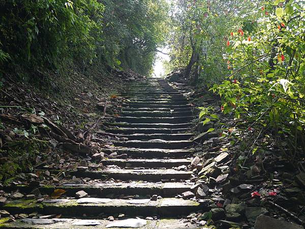 1021117 仁山植物園一日遊224.JPG