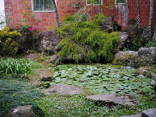 1021122 新埔南園 083-watermark.JPG