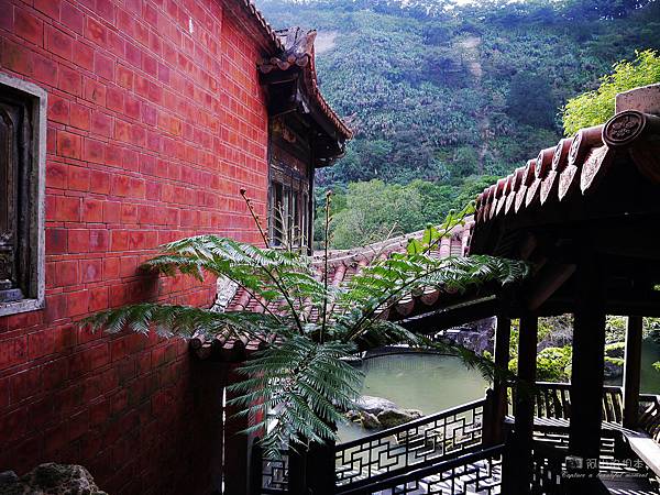 1021122 新埔南園 158-watermark.JPG