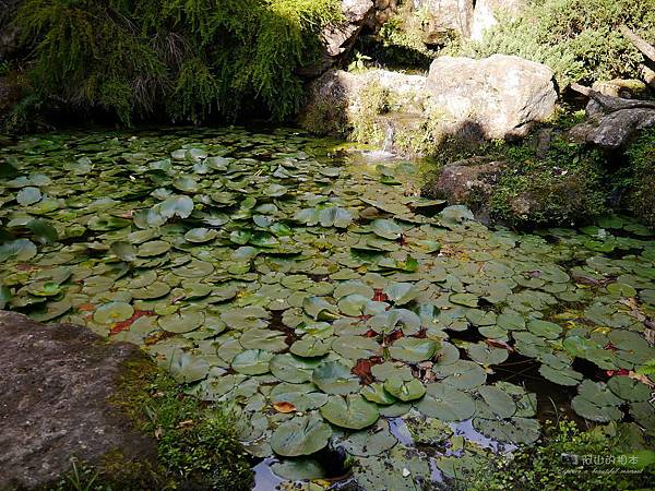 1021122 新埔南園 164-watermark.JPG