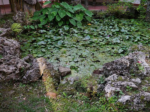 1021122 新埔南園 167-watermark.JPG