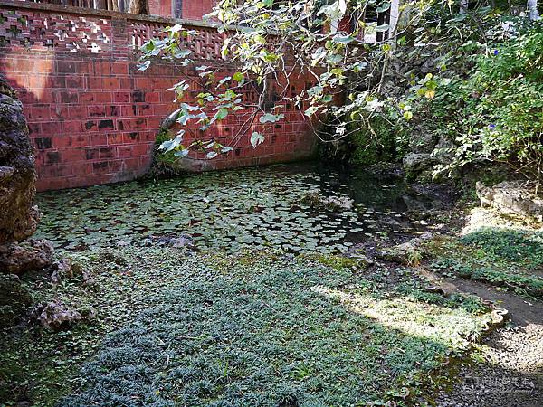 1021122 新埔南園 172-watermark.JPG