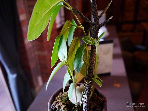 1021122 新埔南園 208-watermark.JPG